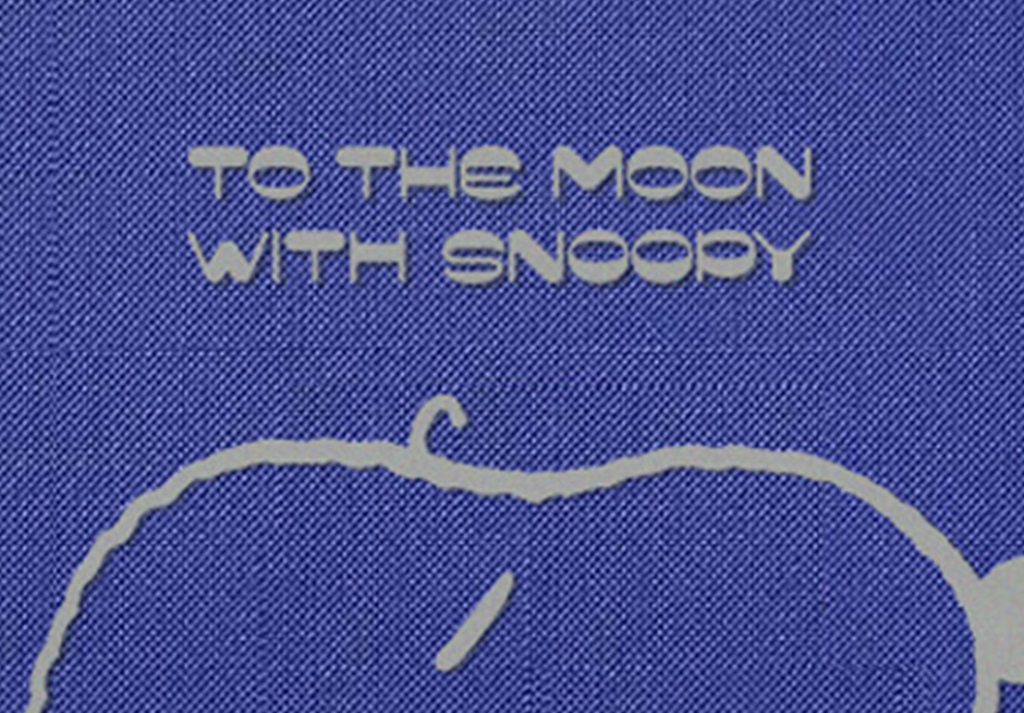 Snoopy to the moon